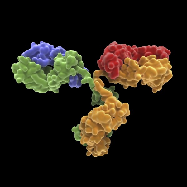 CyFlow™ IgG1 FITC