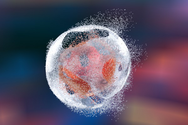 CyFlow™ Bcl2 FITC